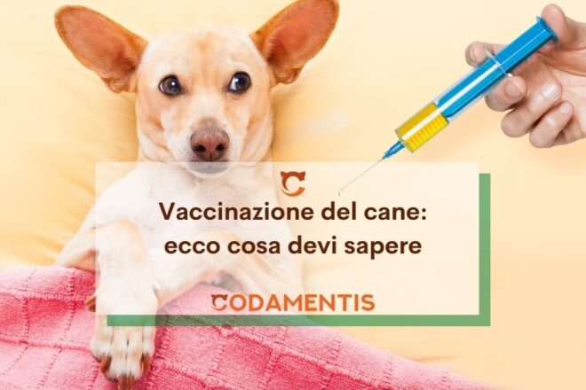 vaccinazione del cane tutto quello che devi sapere
