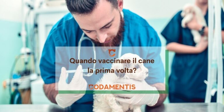 Quando vaccinare il cane la prima volta