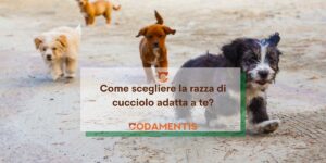 come scegliere il cucciolo adatto a te