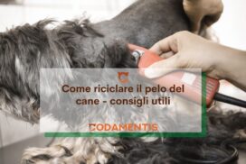 Come riciclare il pelo del cane