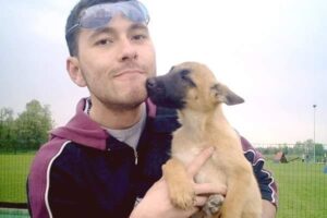 Vento, cucciolo di pastore belga Malinois