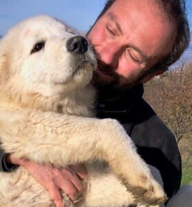 roberto palozzi PASTORE MAREMMANO ABBRUZZESE