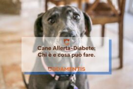 cane allerta diabete codamentis