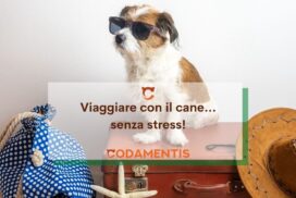 viaggiare con il cane