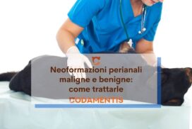 neoformazioni perianali cane adenoma lipoma