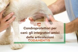 condroprotettori cani articolazioni