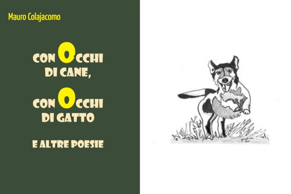 copertina libro di poesie cani e gatti colajacomo
