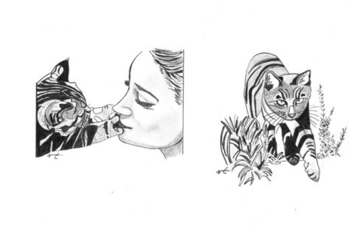illustrazioni libro poesie cane gatto mauro colajacomo