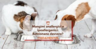 studi su mangimi anallergici cane gatto