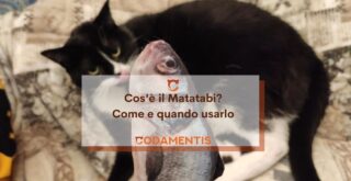 matatabi gatto