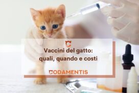 vaccino gatto