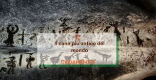 cane più antico del mondo