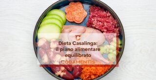 dieta casalinga per cani