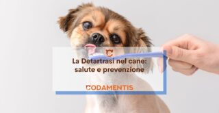 ablazione tartaro denti cane